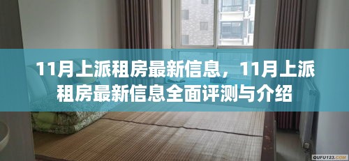 11月上派租房最新信息全面解析与评测指南