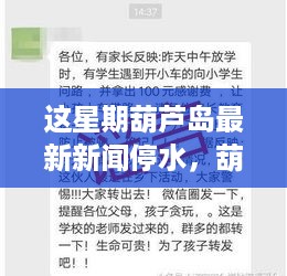 葫芦岛本周停水事件深度观察，停水背后的波澜探究