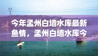 孟州白墙水库今年鱼情分析与钓鱼指南，最新鱼情解读及钓鱼技巧分享