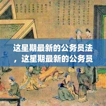 深度解读与实际应用，最新公务员法解析及实施指南