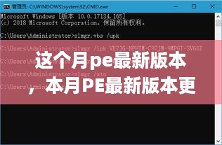 本月PE最新版本更新解析，引领行业的新特性与优势