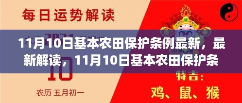 最新解读，11月10日基本农田保护条例全面更新，守护农田红线更严格