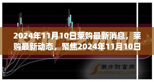 莱购最新动态及三大要点解析，聚焦2024年11月10日