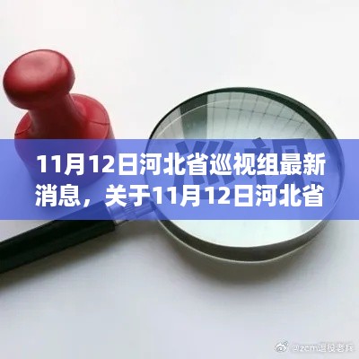 11月12日河北省巡视组最新消息解读与获取指南