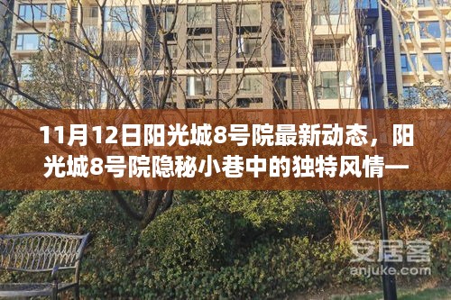 阳光城8号院最新动态揭秘，隐秘小巷的独特风情与探店之旅