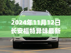 2024年11月12日 第4页