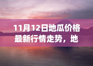 11月12日地瓜行情探秘，自然美景之旅与内心宁静的寻找与地瓜价格走势分析