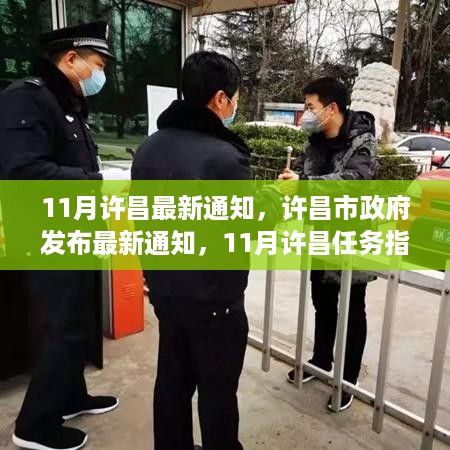 许昌市政府最新通知，11月任务指南与技能学习手册发布