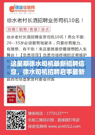 徐水司机最新招聘信息发布，启程未来把握机会！