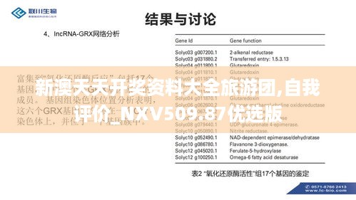 新澳天天开奖资料大全旅游团,自我评价_NXV509.87优选版