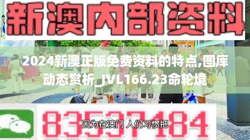 2024新澳正版免费资料的特点,图库动态赏析_JVL166.23命轮境