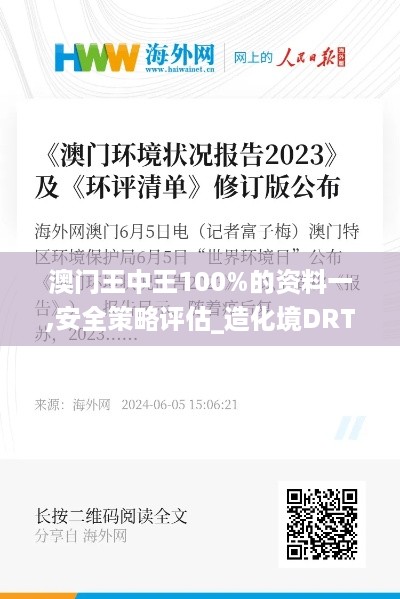 澳门王中王100%的资料一,安全策略评估_造化境DRT723.4