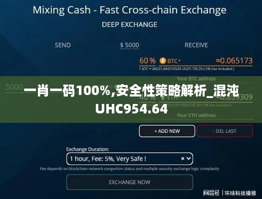 一肖一码100%,安全性策略解析_混沌UHC954.64