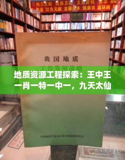 地质资源工程探索：王中王一肖一特一中一，九天太仙RYO揭秘