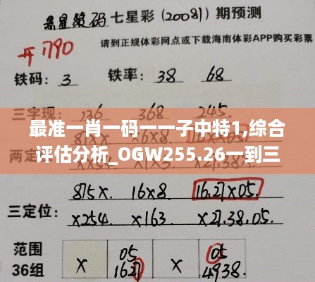 最准一肖一码一一子中特1,综合评估分析_OGW255.26一到三星境