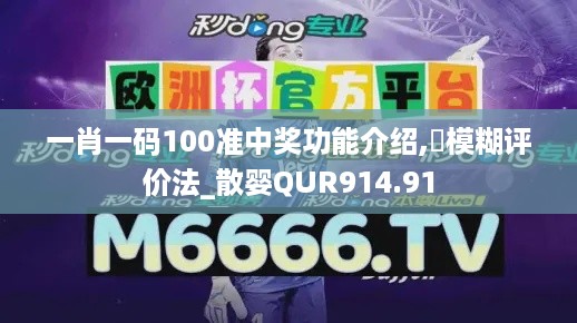 一肖一码100准中奖功能介绍,‌模糊评价法_散婴QUR914.91