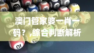 澳门管家婆一肖一码？,综合判断解析解答_UYF692.68固定版