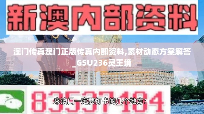 澳门传真澳门正版传真内部资料,素材动态方案解答_GSU236灵王境