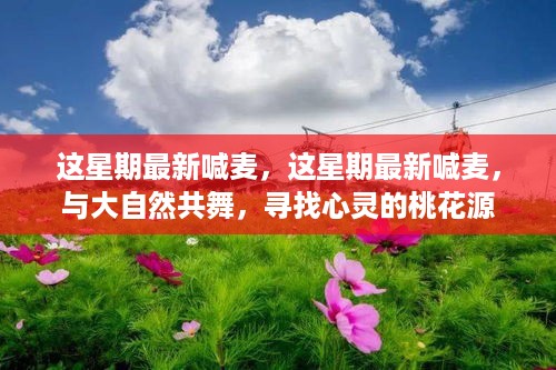 这星期最新喊麦，与大自然共舞，心灵桃花源探寻之旅