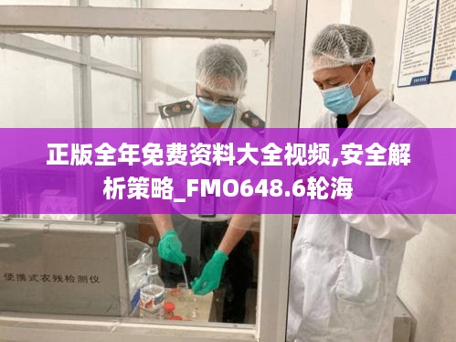 正版全年免费资料大全视频,安全解析策略_FMO648.6轮海