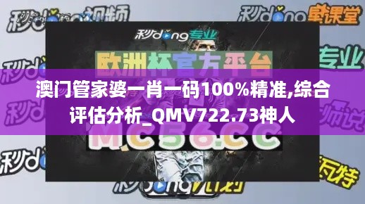 澳门管家婆一肖一码100%精准,综合评估分析_QMV722.73神人