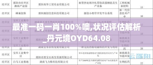 最准一码一肖100%噢,状况评估解析_丹元境OYD64.08