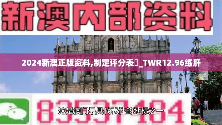 2024新澳正版资料,制定评分表‌_TWR12.96练肝