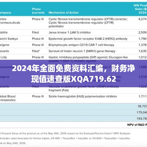 2024年全面免费资料汇编，财务净现值速查版XQA719.62