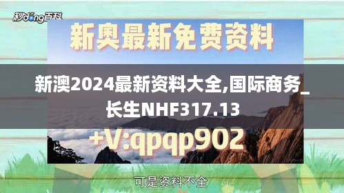 新澳2024最新资料大全,国际商务_长生NHF317.13