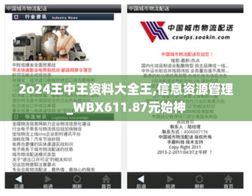 2o24王中王资料大全王,信息资源管理_WBX611.87元始神