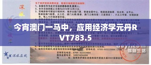 今宵澳门一马中，应用经济学元丹RVT783.5