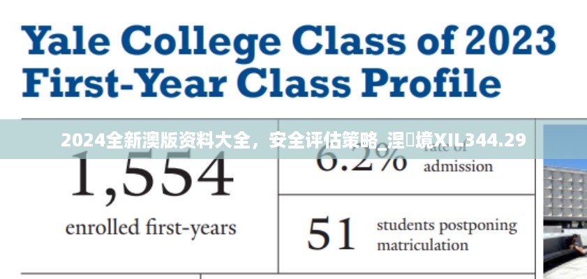 2024全新澳版资料大全，安全评估策略_涅槃境XIL344.29