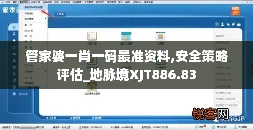 管家婆一肖一码最准资料,安全策略评估_地脉境XJT886.83