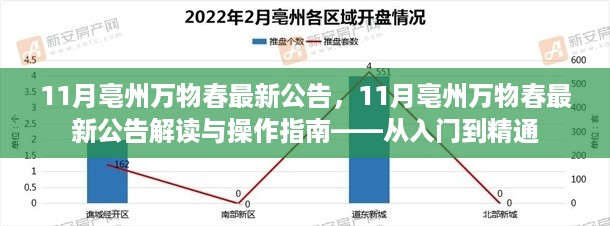 从入门到精通，解读与操作指南——亳州万物春最新公告详解