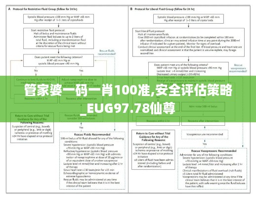 管家婆一码一肖100准,安全评估策略_EUG97.78仙尊