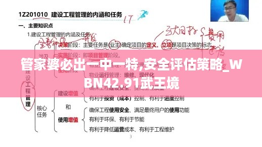 管家婆必出一中一特,安全评估策略_WBN42.91武王境