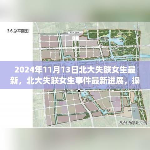 北大失联女生事件最新进展揭秘，背景、进展与影响分析（2024年11月13日更新）