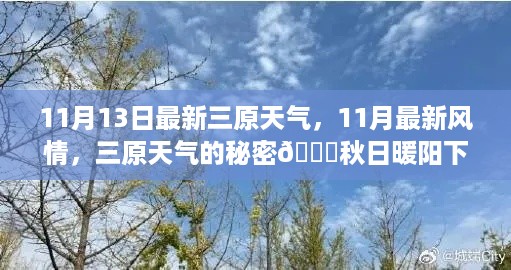 秋日暖阳下的三原天气展望，揭秘三原天气的秘密与最新风情