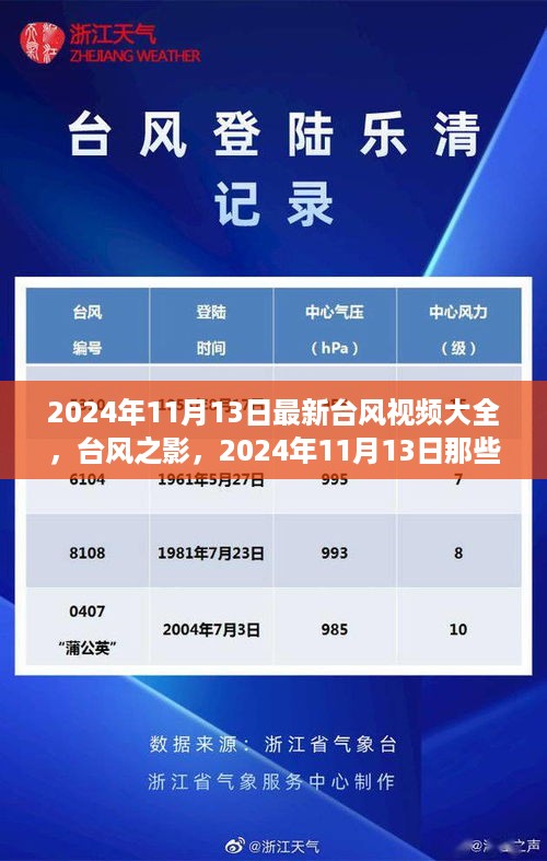 台风之影，震撼心灵的瞬间——最新台风视频集锦 2024年11月13日