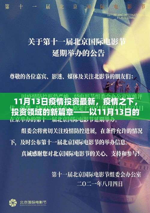 11月13日疫情投资最新动态，疫情时代投资领域的新篇章及影响洞察