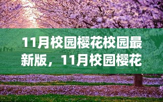 11月校园樱花季，最新风情体验报告