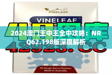 2024澳门王中王全中攻略：NRQ62.198版深度解析