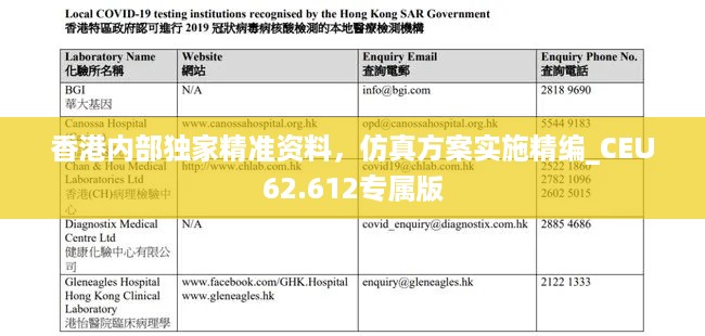 香港内部独家精准资料，仿真方案实施精编_CEU62.612专属版