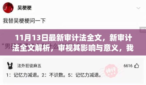 新审计法解析，影响、意义及我的观点与立场