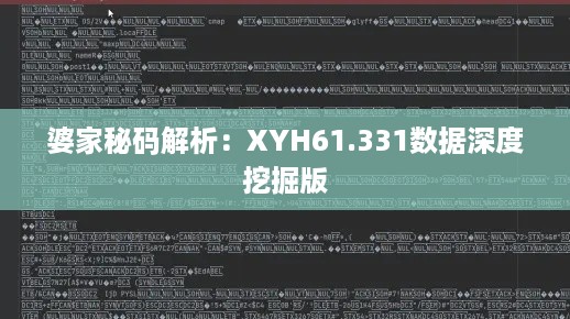 婆家秘码解析：XYH61.331数据深度挖掘版