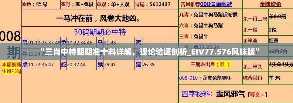 “三肖中特期期准十料详解，理论验证剖析_EIV77.576风味版”