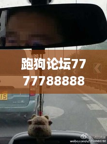 跑狗论坛7777788888实证解析：豪华UKW61.746车型深度研究