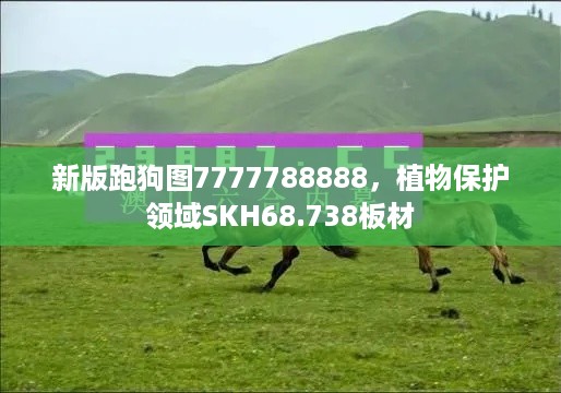 新版跑狗图7777788888，植物保护领域SKH68.738板材