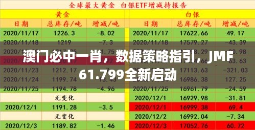 澳门必中一肖，数据策略指引，JMF61.799全新启动