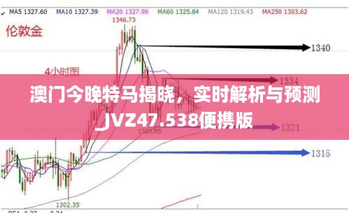 澳门今晚特马揭晓，实时解析与预测_JVZ47.538便携版